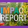 Impact Report 2019-20