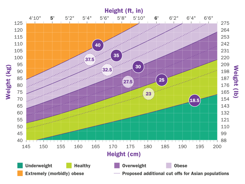 BMI Chart